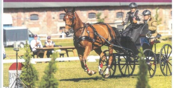 Otwarte Mistrzostwa Powiatu Tureckiego w powożeniu zaprzęgami konnymi – sparing w skokach przez przeszkody