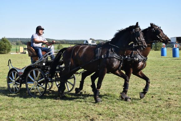 Gmina Władysławów gościła Otwarte Mistrzostwa Powiatu Tureckiego w powożeniu zaprzęgami i sparing w skokach przez przesz